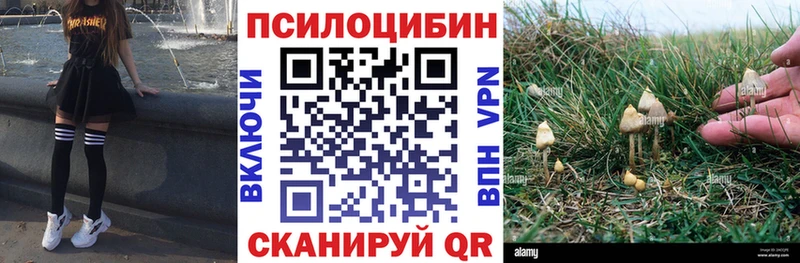 Купить где  Урай  Псилоцибиновые грибы мицелий 